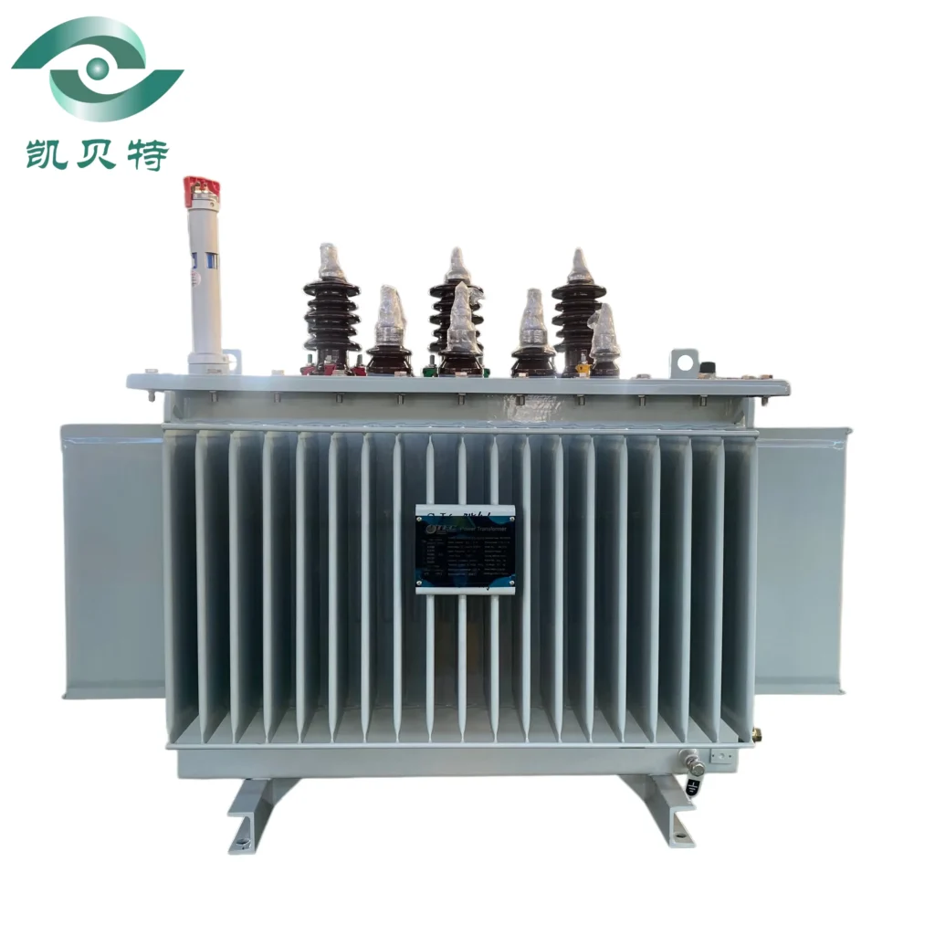 Somali 315 Oil-immersed Transformer