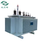 Somali 315 Oil-immersed Transformer
