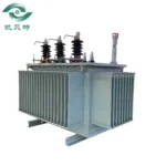 Somali 315 Oil-immersed Transformer