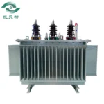 Somali 315 Oil-immersed Transformer