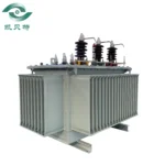Somali 315 Oil-immersed Transformer