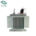 Somali 315 Oil-immersed Transformer