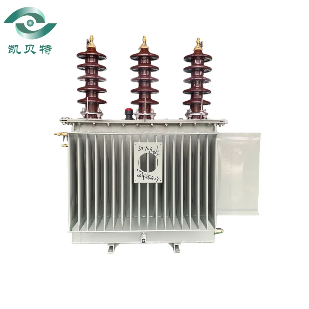 Somali 100 Oil-immersed Distribution Transformer