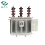 Somali 100 Oil-immersed Distribution Transformer