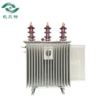 Somali 100 Oil-immersed Distribution Transformer