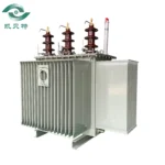 Somali 100 Oil-immersed Distribution Transformer